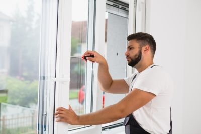 Expert Advice on Window Choices